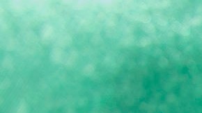 Kimberly Esparza walks draped in a Mexican flag during a protest against presidential candidate Donald Trump, Thursday, July 23, 2015, at Laredo International Airport in Laredo, Texas. (AP Photo/Darren Abate)