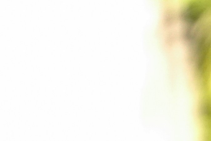 Bella Hadid Festival de Cannes 2021