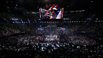 Estas son las peleas más importantes de hoy, sábado 17 de mayo.