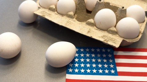 Cae el costo de los huevos en EE.UU. después de meses de aumento