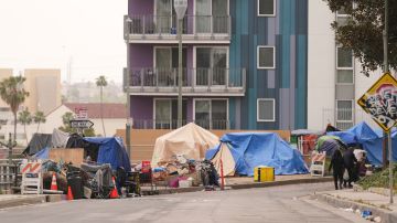 Tents are set up along a freeway in a homeless encampment Monday, May 12, 2025, in Los Angeles. (AP Photo/Damian Dovarganes)
