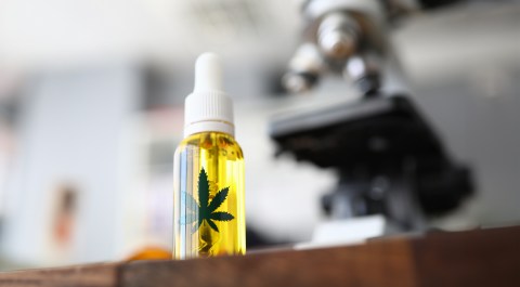 Cannabinoides del propio cuerpo podrían ayudar a controlar el miedo