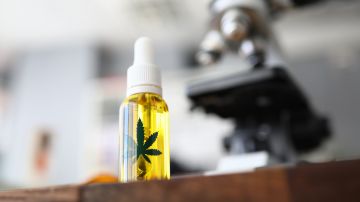 Cannabinoides del propio cuerpo podrían ayudar a controlar el miedo
