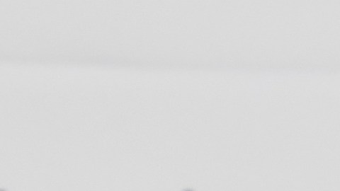 La bibliotecaria del Congreso Carla Hayden fue despedida por Trump.