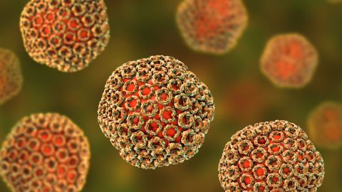 Casos de fiebre del Valle podrían aumentar en California
