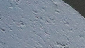 El residente fue arrestados por dos cargos previos por posesión de arma de fuego.