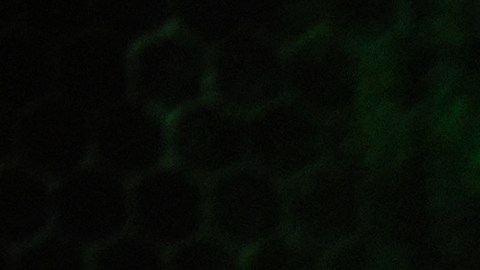 Durante años NVIDIA fue la reina indiscutible en el segmento de chips para inteligencia artificial pero eso está cambiando gracias a Huawei