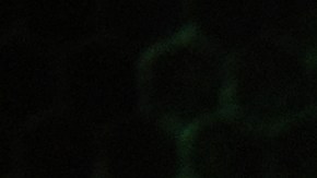 Durante años NVIDIA fue la reina indiscutible en el segmento de chips para inteligencia artificial pero eso está cambiando gracias a Huawei