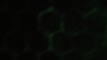 Durante años NVIDIA fue la reina indiscutible en el segmento de chips para inteligencia artificial pero eso está cambiando gracias a Huawei