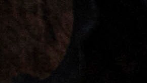 La Universidad de Columbia ha vivido un duro asedio financiero de Trump por las protestas propalestinas en su campus (Archivo)