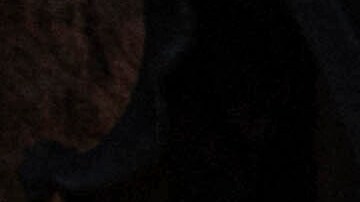 La Universidad de Columbia ha vivido un duro asedio financiero de Trump por las protestas propalestinas en su campus (Archivo)