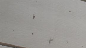 Publicación: May. 21 2024 Fotógrafo: Archivo Lugar: CIUDAD DE MÉXICO Formato: 1500 x 979 JPG Documento: 501.0 KB Folio: 2259247