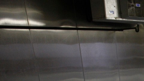 Cuerpos de morgue