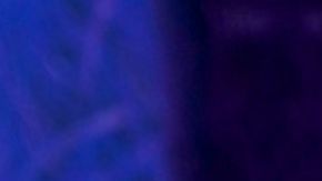 Dayanara Torres Miss Universo