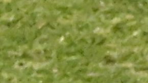 Martín Demichelis junto a Sergio Canales.