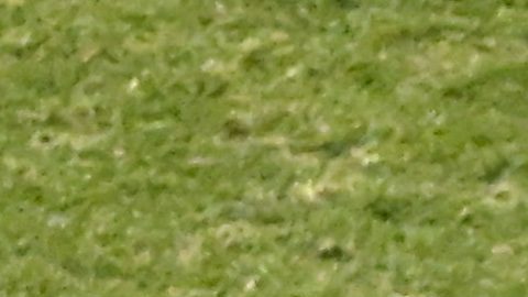 Martín Demichelis junto a Sergio Canales.