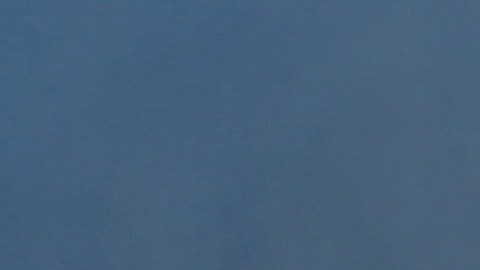 En marzo de 2025 comenzaron a disminuir tras los primeros días del segundo mandato del presidente estadounidense, Donald Trump.