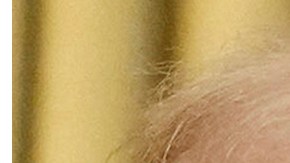 Rusia rechaza el alto el fuego que Ucrania ha puesto como condición para iniciar las conversaciones de paz.