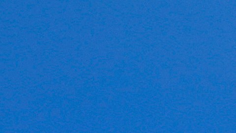 “Excluir a las agencias es una falta de respeto hacia los estadounidenses”, reclamó WHCA.