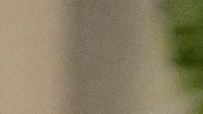 Según medios estadounidenses, un hombre armado gritó "Palestina libre" mientras era arrestado frente al citado museo.