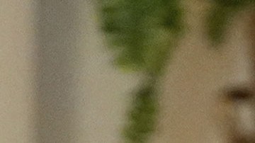 Donald Trump, presidente estadounidense