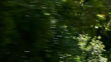 El Subaru Forester 2025