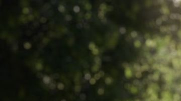 El polémico Toyota bZ4X