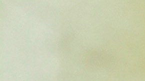 Elon Musk insiste en que DOGE debe acceder a los datos del Seguro Social.