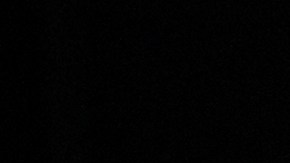 La idea es que Grok se integre a Telegram de forma tal que todos los usuarios de la app de mensajería puedan utilizar la IA de Elon Musk