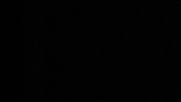 La idea es que Grok se integre a Telegram de forma tal que todos los usuarios de la app de mensajería puedan utilizar la IA de Elon Musk