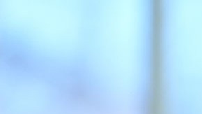 Elon Musk, visionario empresario tecnológico