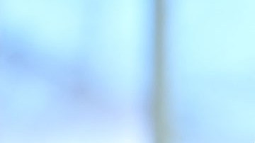 Elon Musk, visionario empresario tecnológico