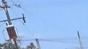 Enfrentamiento en Sinaloa