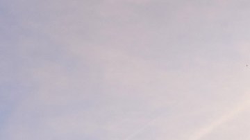 Estatua creada para rendirle un homenaje a Melania Trump