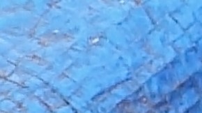 FDA anuncia el retiro del mercado de tomates por posible contaminación con salmonela