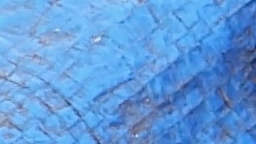 FDA anuncia el retiro del mercado de tomates por posible contaminación con salmonela