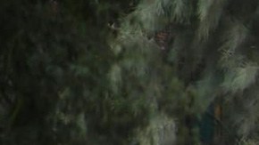 Fosas clandestinas en Guanajuato