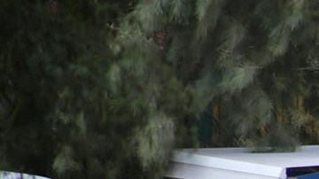 Fosas clandestinas en Guanajuato