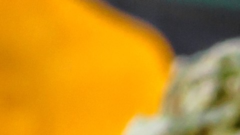 Fumar marihuana y comer gomitas de cannabis si representa riesgos para la salud estudio
