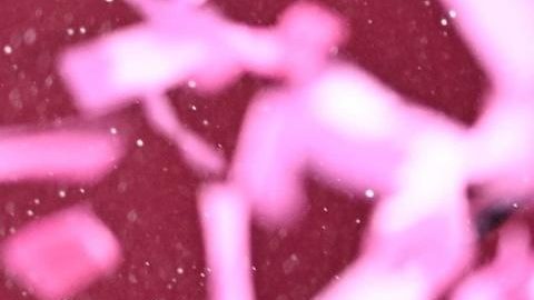 Isaac del Toro celebra con la "maglia rosa" que es el nuevo líder del giro de Italia