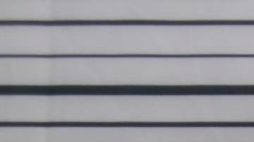 Collins fue detenido el 23 de mayo y enfrenta cargos por asesinato en primer grado.