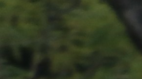 La indignación contra la actual administración federal es obvia en cada manifestación.