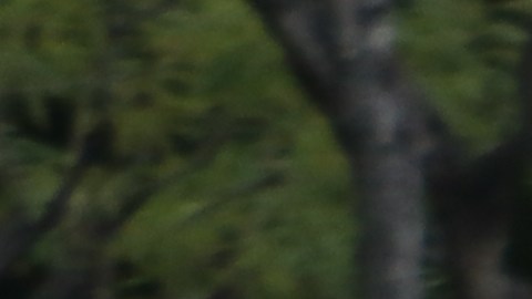 La indignación contra la actual administración federal es obvia en cada manifestación.