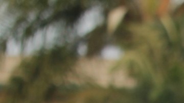 Rosy Iparraguirre, (con lentes oscuros) una mujer  de Lima, Perú,  valora la humildad del Papa León XIV y su preocupación por los marginados de la sociedad.
