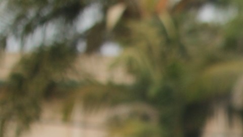Rosy Iparraguirre, (con lentes oscuros) una mujer  de Lima, Perú,  valora la humildad del Papa León XIV y su preocupación por los marginados de la sociedad.