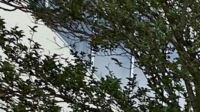 Maricela Luna, una carrera en ascenso en el Servicio Postal Estadounidense.