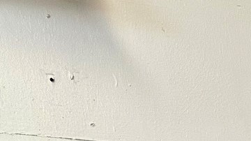 Tres jóvenes graduados de la Collegiate Charter High School de Los Ángeles.