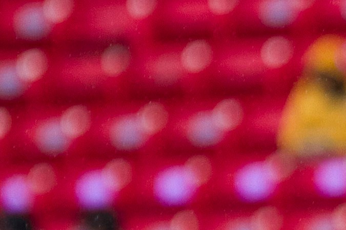 Zapopan, Jalisco 15 de Septiembre 2013.- Jorge Almiron DT de Tijuana durante el partido de la jornada 10 de la Liga Bancomer MX, celebrado en el Estadio Omnilife. Foto: Imago7