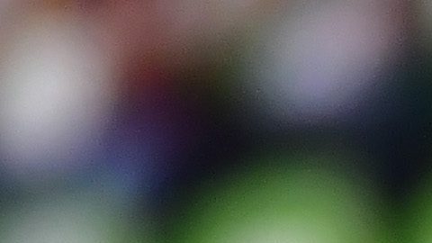 León, Guanajuato. 21 de Septiembre de 2024. Domenec Torrent, director técnico, durante el partido correspondiente a la jornada 9 del torneo Apertura 2024 de la Liga BBVA MX, entre los esmeraldas del Club León y los Potosinos del Atlético de San Luis, disputado en el estadio León. Foto: Imago7/ Ramón Balandrán