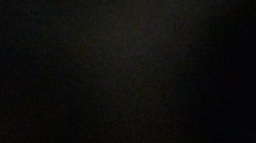 Carrillo fue formado en el Santos Laguna.